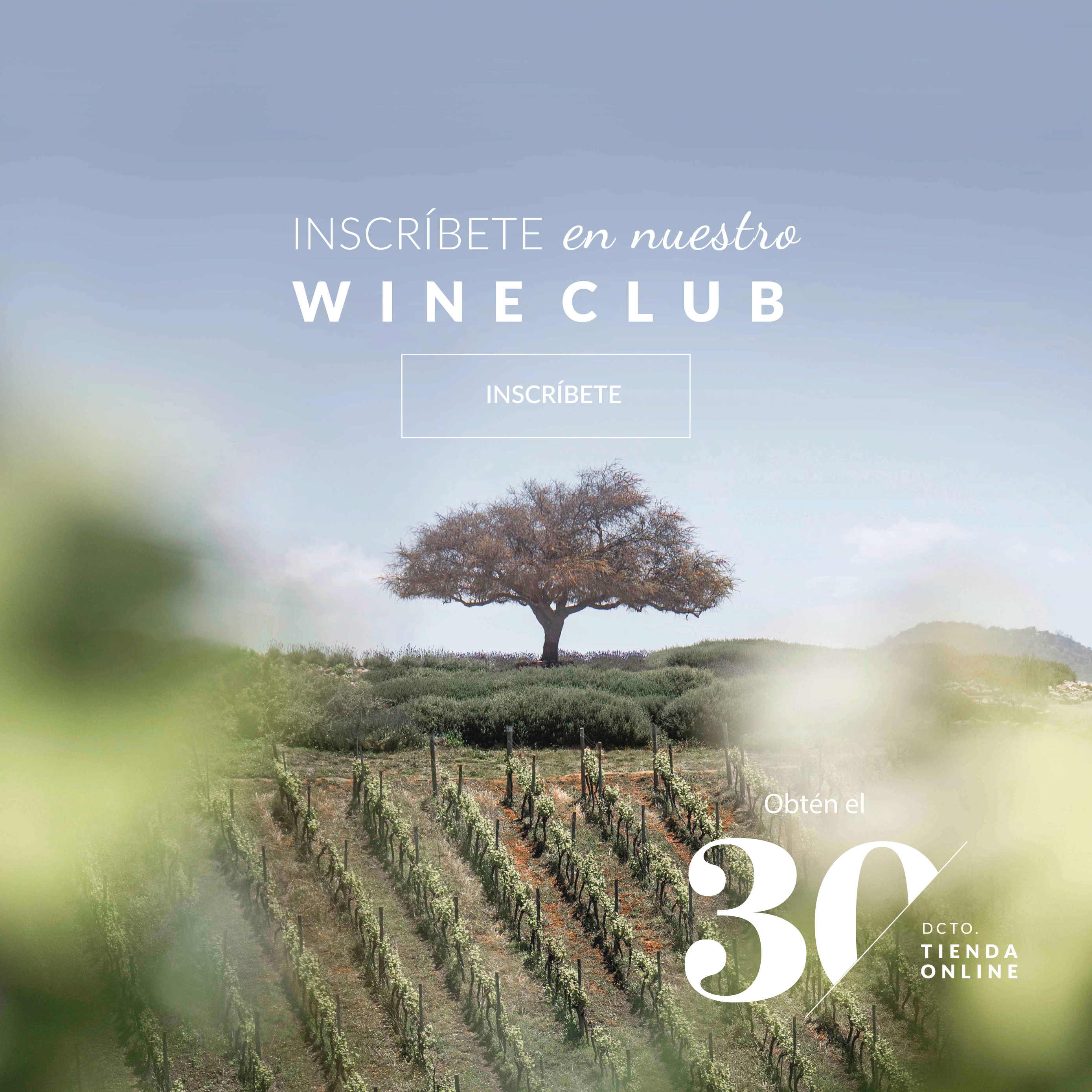 Inscríbete al Wine Club