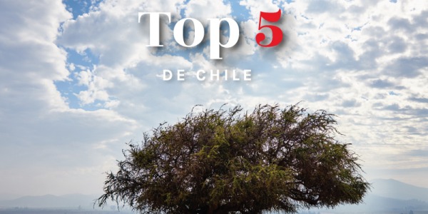 Top 5 of Chile