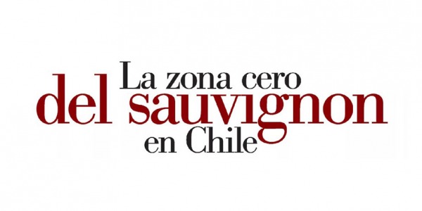 La zona cero del sauvignon en Chile