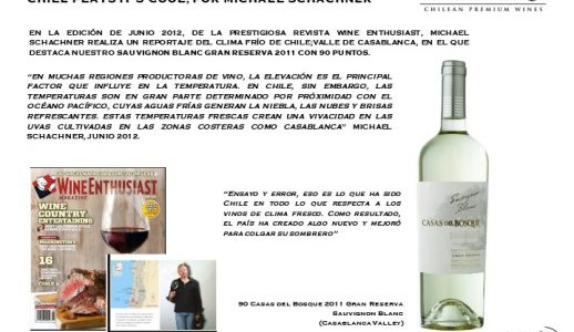 Press Report Wine Enthusiast June 2012